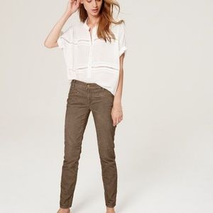 Ann Taylor Loft cords